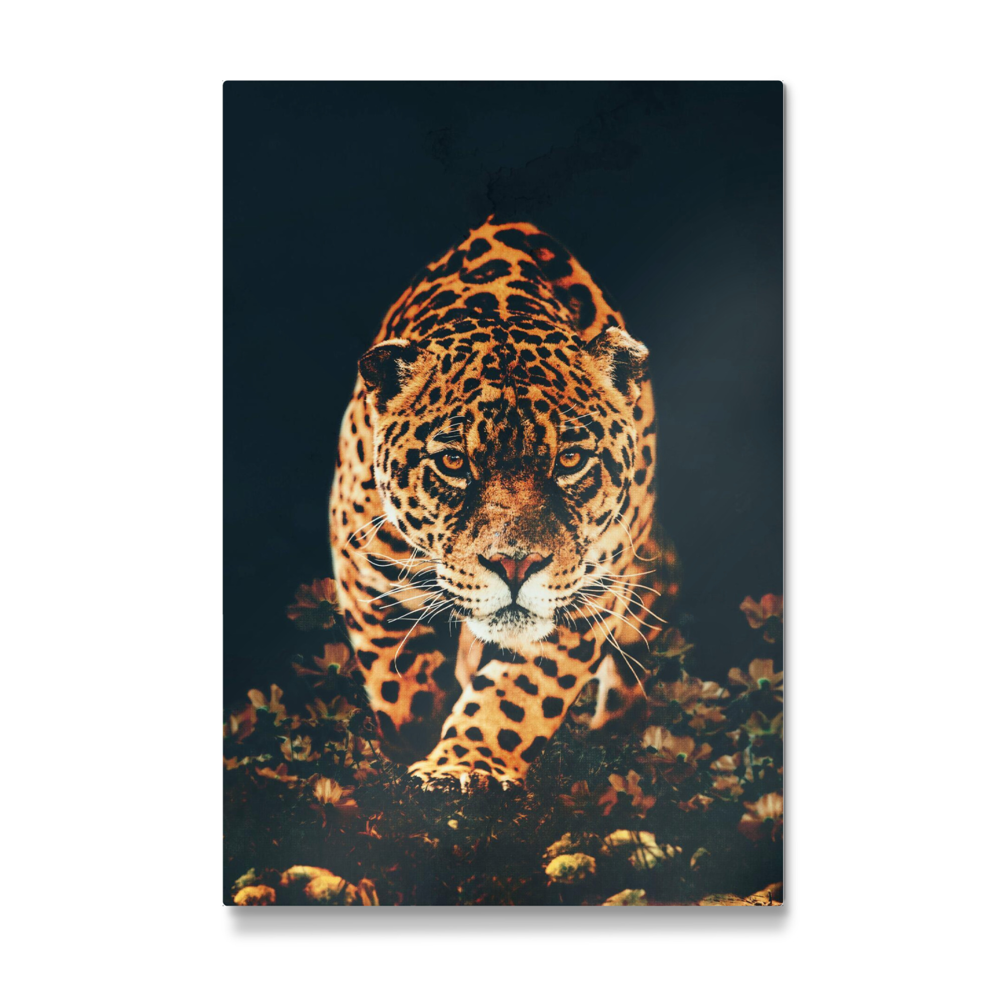 Galerie-Print "Jagd-Leopard" 75x50 cm artboxONE