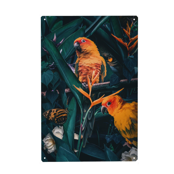 Metall Poster "Dschungelszene" artboxONE - Natur,Floral,Tiere - Papagei,Kakadu,Dschungel,Grüne blätter,Wald - Blechschild