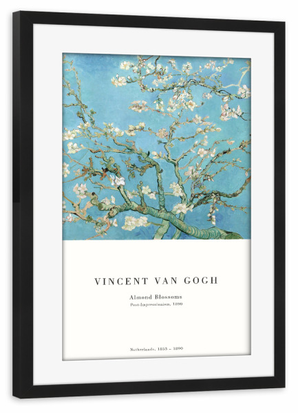 Poster mit Rahmen schwarz "Van Gogh-Mandelblüte" artboxONE - Natur,Floral