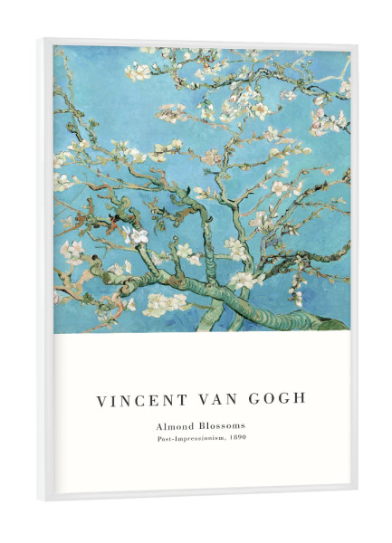 Poster mit weißem Rahmen "Van Gogh-Mandelblüte" artboxONE - Natur,Floral