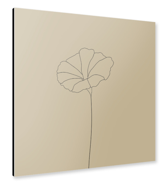 Alu-Dibond "Mohnblume braun" 30x30 cm artboxONE