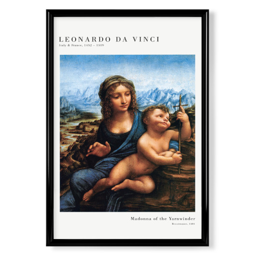 Da Vinci - Madonna