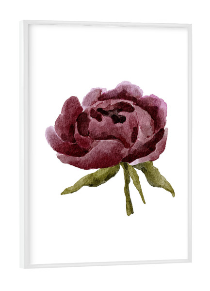 Poster mit weißem Rahmen "Lila Pfingstrosenblumenkunst" artboxONE - Floral