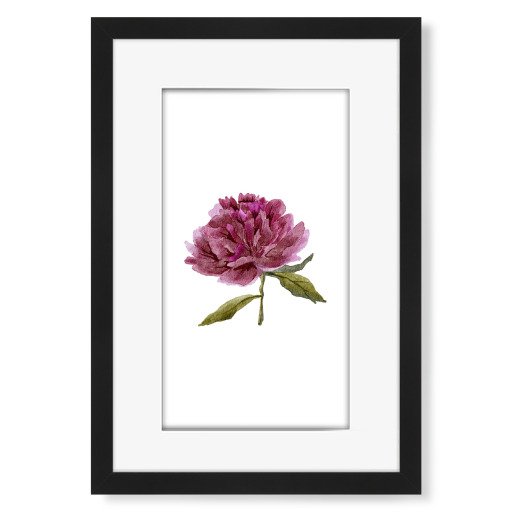 Watercolor purple peony art