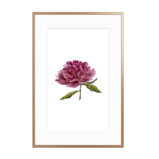 Watercolor purple peony art