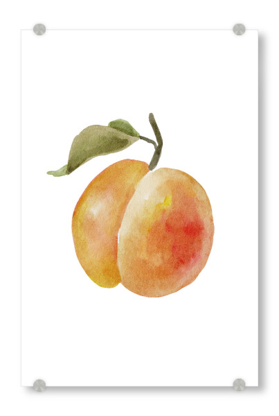 Acrylglasbild "Aquarell Pfirsichfrucht" artboxONE - Essen & Trinken / Obst & Gemüse