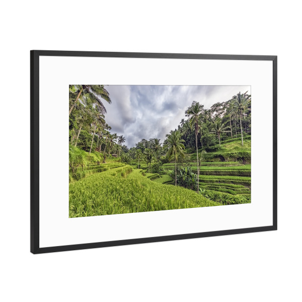 Poster mit Rahmen Schwarz (Metallic) "Bali-Terrassen" artboxONE - Natur,Reise,Reise / Asien,Reise / Länder