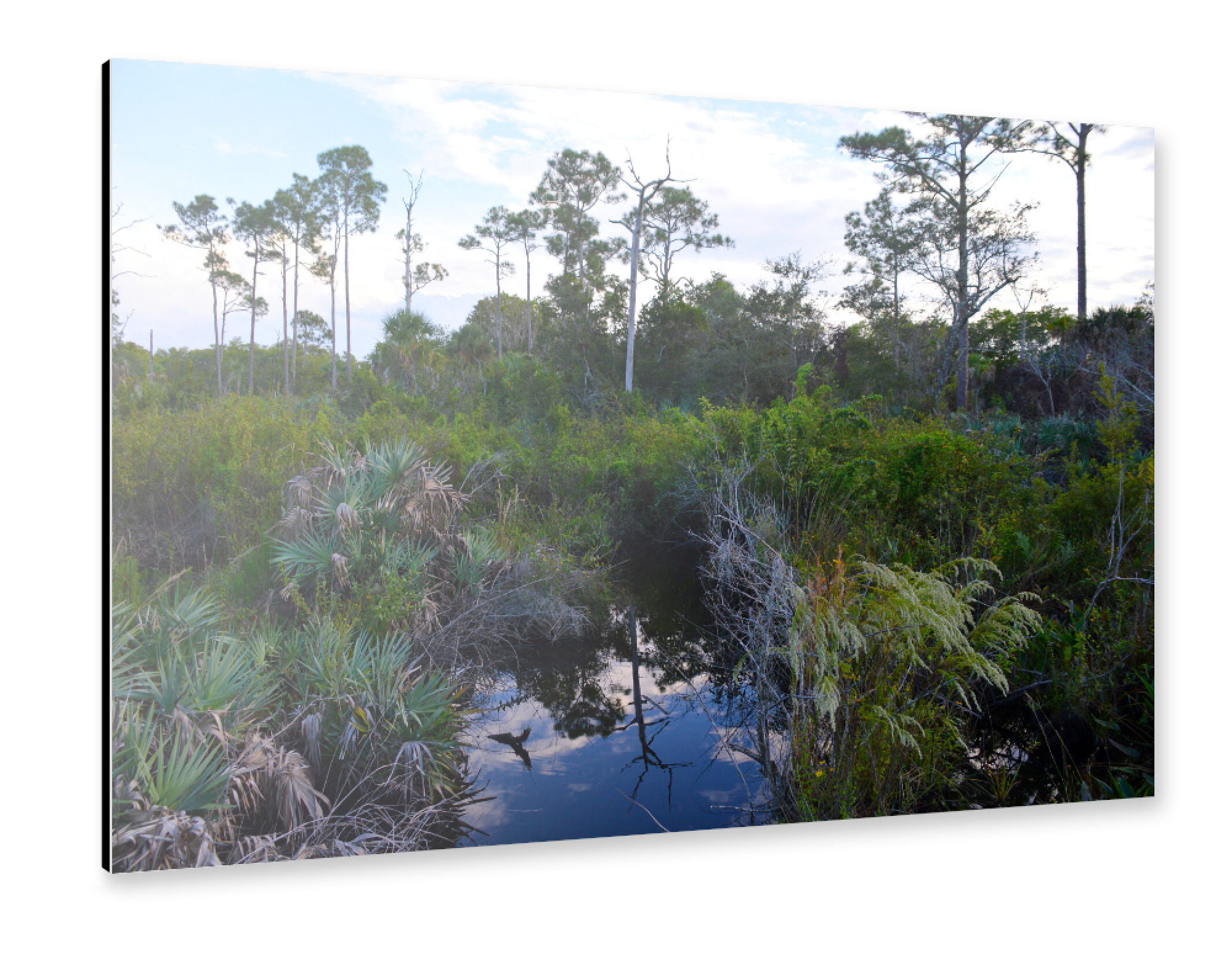 Alu-Dibond "Eine Landschaft in Florida" 75x50 cm artboxONE