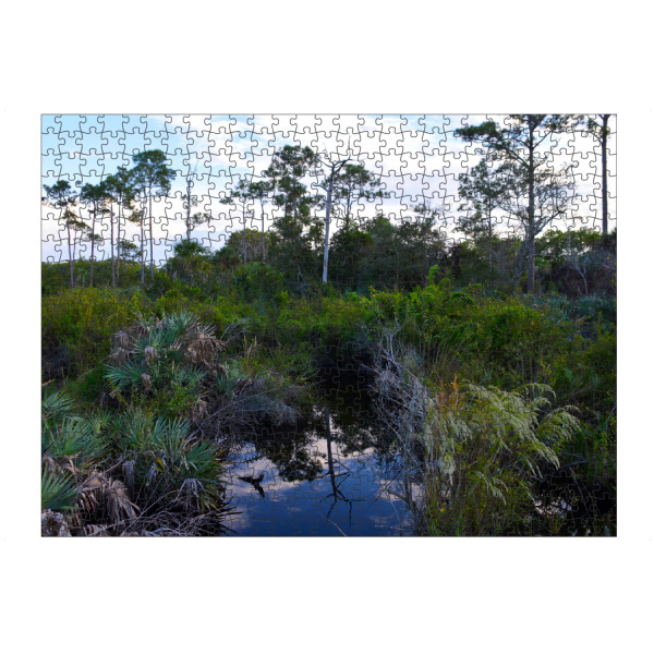 Puzzle Ravensburger "Eine Landschaft in Florida" artboxONE - Natur,Reise,Reise / Länder