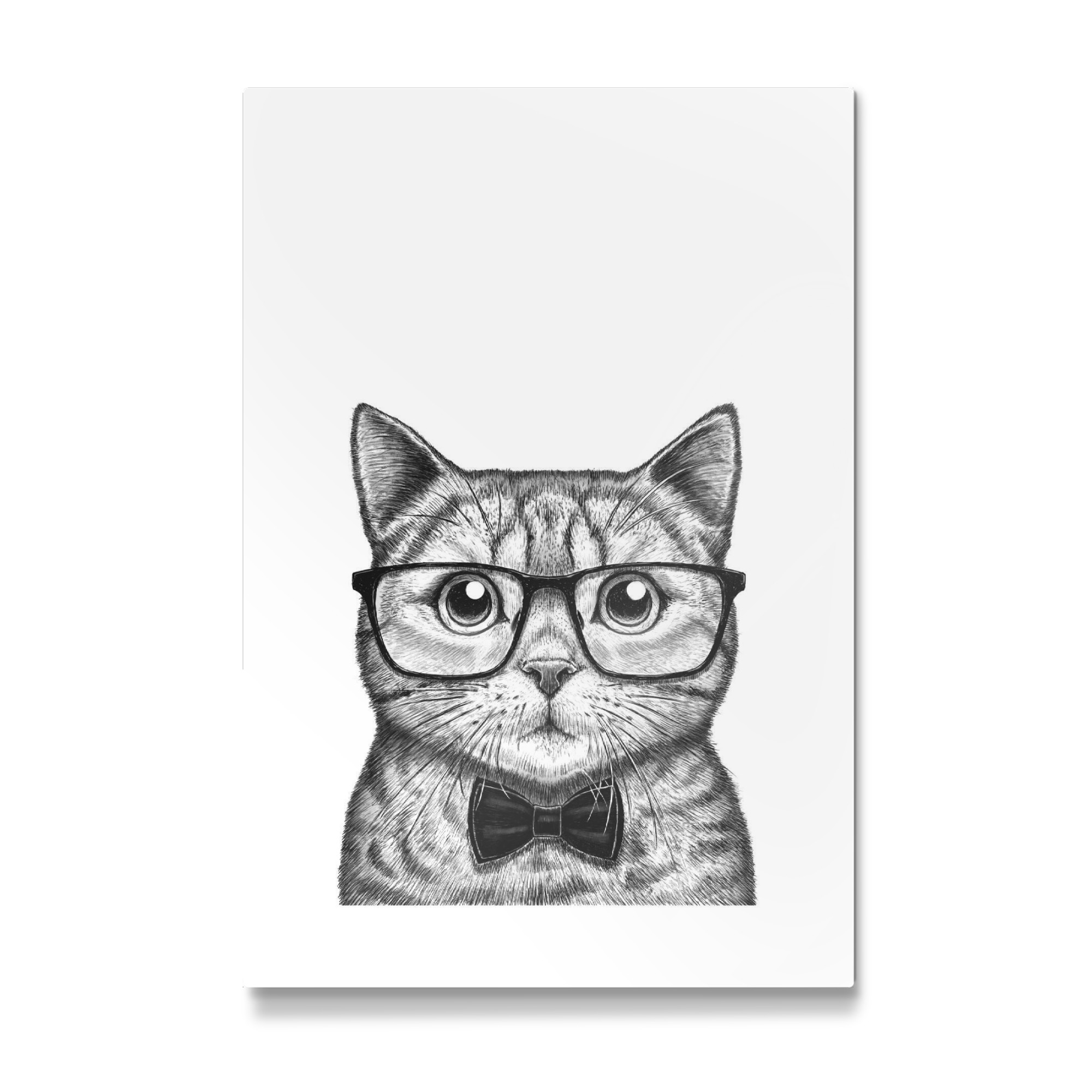 Galerie-Print "Intelligente Katze" 30x20 cm artboxONE
