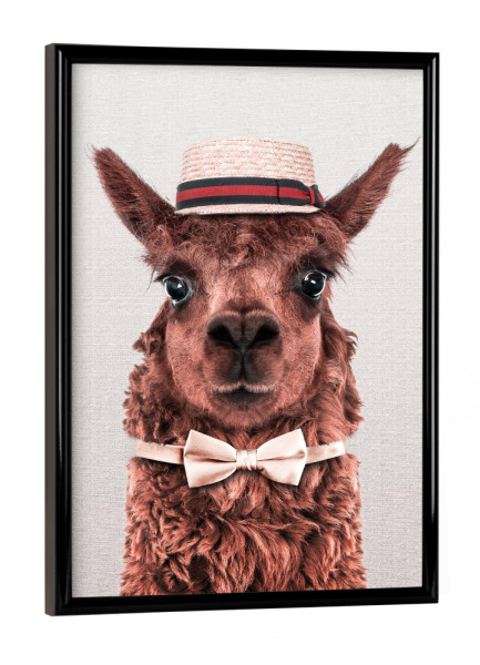 Poster mit schwarzem Rahmen "Alpaka" artboxONE - Tiere - Alpaka,Tier mit hut,Tier mit kleidung,Fliege