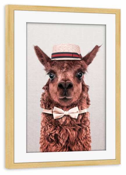Poster mit Rahmen kiefer "Alpaka" artboxONE - Tiere - Alpaka,Tier mit hut,Tier mit kleidung,Fliege