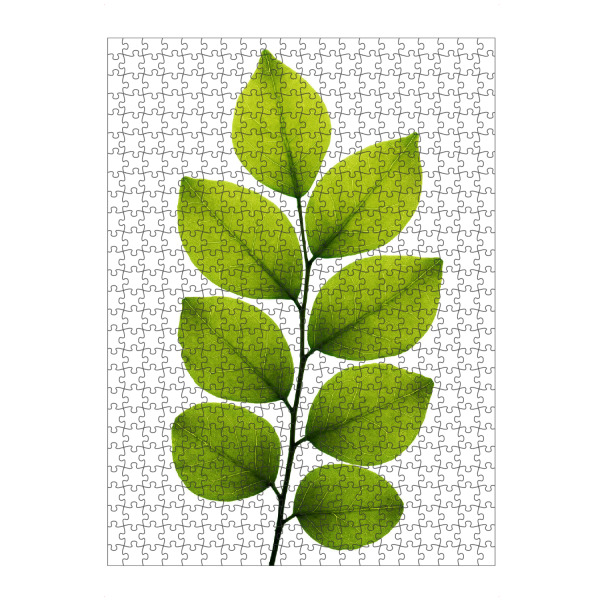 Puzzle Ravensburger "Symphoricarpos albus" artboxONE - Natur,Floral