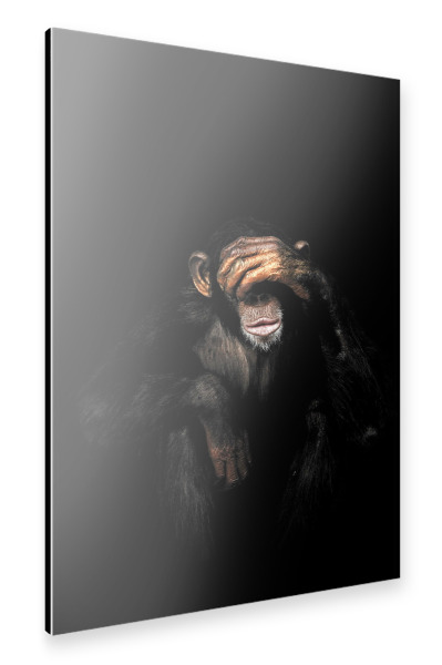 Alu-Dibond "Affe sieht kein Übel" 30x20 cm artboxONE