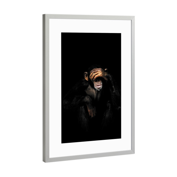Poster mit Rahmen Silber "Affe sieht kein Übel" artboxONE - Tiere - Affe,Sehe nichts böses,Schimpanse,Schimpanse