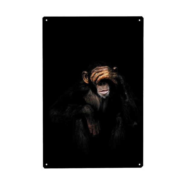 Metall Poster "Affe sieht kein Übel" artboxONE - Tiere - Affe,Sehe nichts böses,Schimpanse,Schimpanse - Blechschild