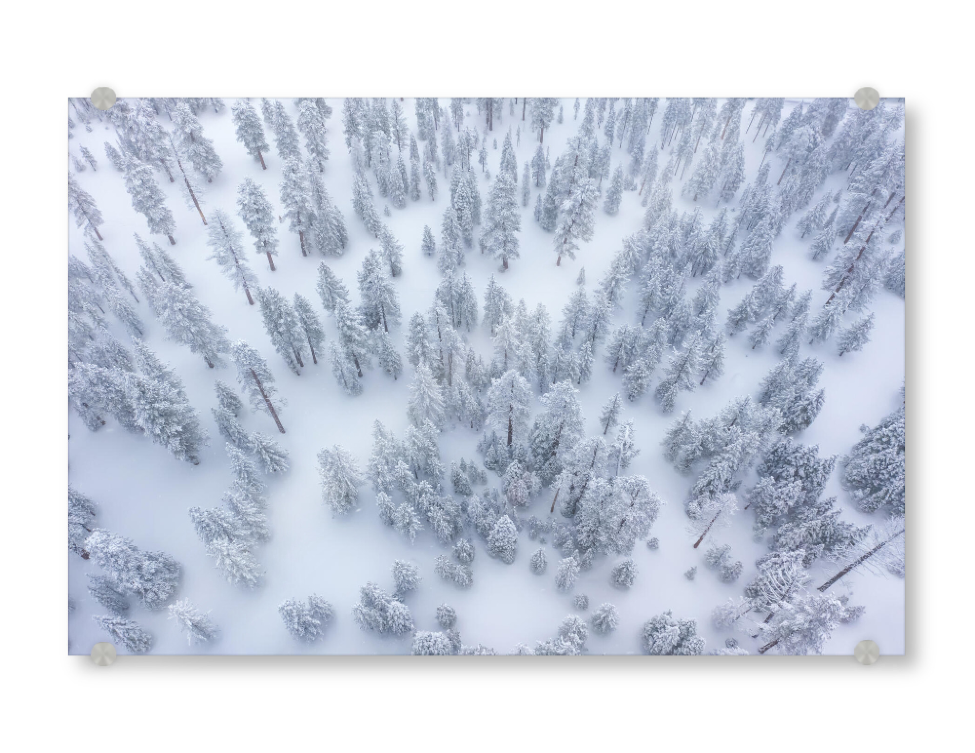 Acrylglasbild "Winterwald Schnee" artboxONE - Natur,Reise,Reise / Länder