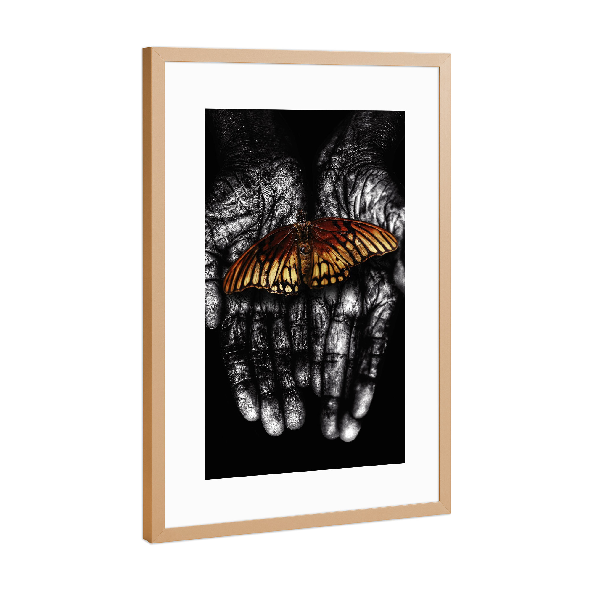 Poster mit Rahmen Kupfer "Zarter Schmetterling" artboxONE - Tiere,Menschen,Männer