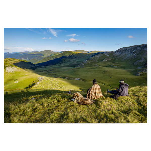 Poster 30x20 cm "Schäfer in den Karpaten" artboxONE - Natur
