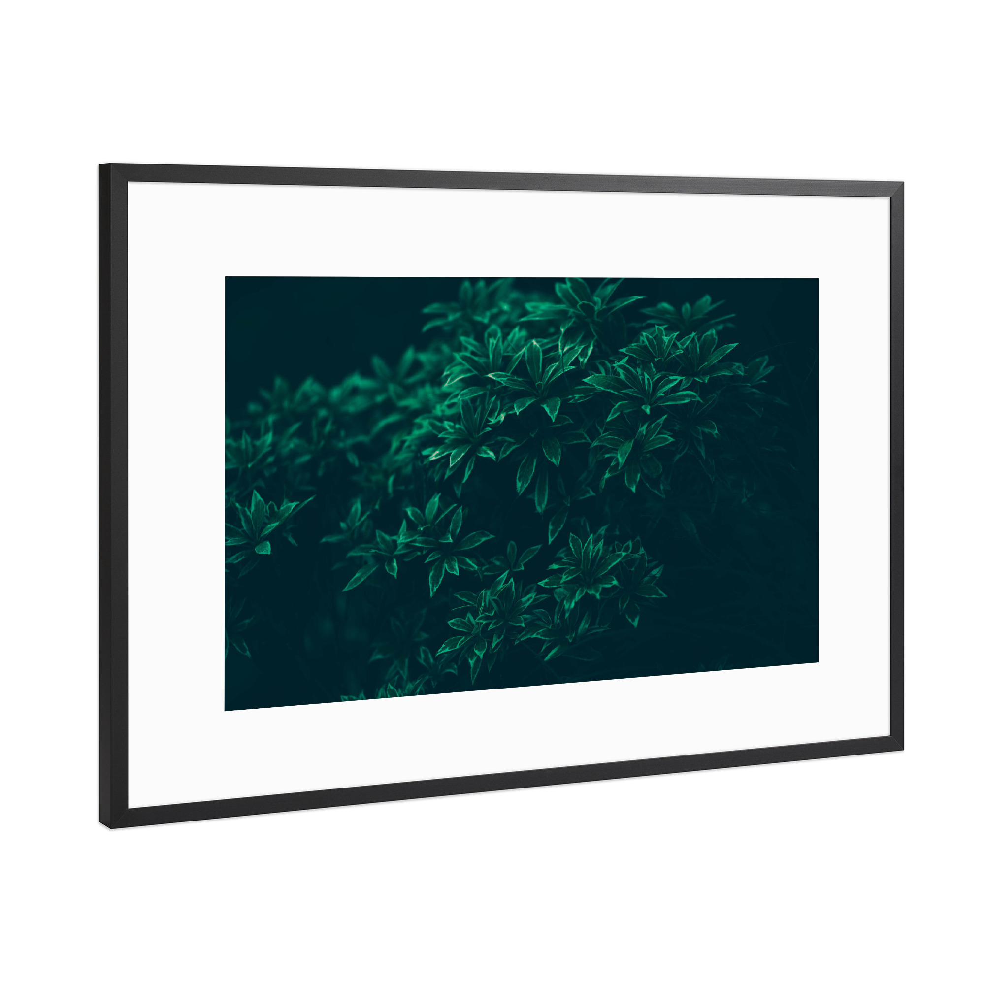 Poster mit Rahmen Schwarz (Metallic) "Grüne Blätter" artboxONE - Natur
