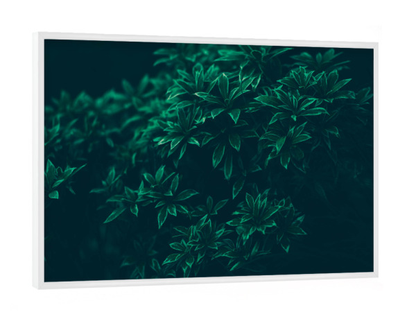 Poster mit weißem Rahmen "Grüne Blätter" artboxONE - Natur