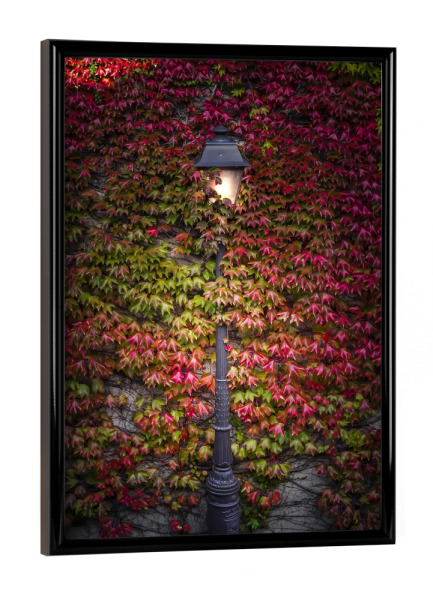 Poster mit schwarzem Rahmen "Verlorene Straßenlaterne" artboxONE - Städte,Reise,Architektur,Städte / Paris,Reise / Länder