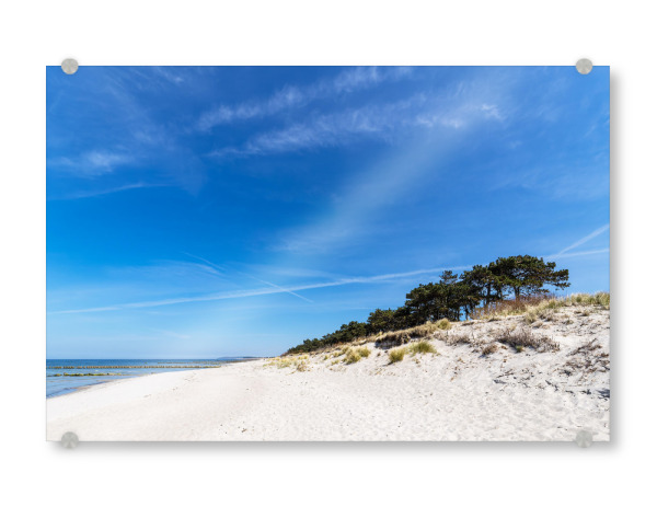 Acrylglasbild "Strand, Bäume, Düne" artboxONE - Natur,Reise,Reise / Strand und Meer