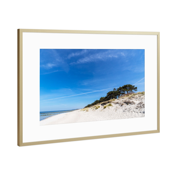 Poster mit Rahmen Gold "Strand, Bäume, Düne" artboxONE - Natur,Reise,Reise / Strand und Meer