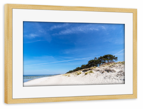 Poster mit Rahmen kiefer "Strand, Bäume, Düne" artboxONE - Natur,Reise,Reise / Strand und Meer