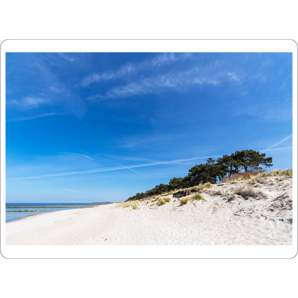 Tischset "Strand, Bäume, Düne" artboxONE - Natur,Reise,Reise / Strand und Meer