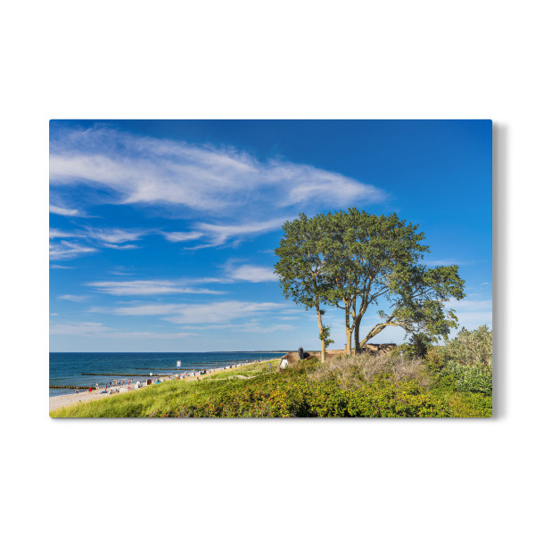 Galerie-Print "Düne, Baum und Strand" 30x20 cm artboxONE