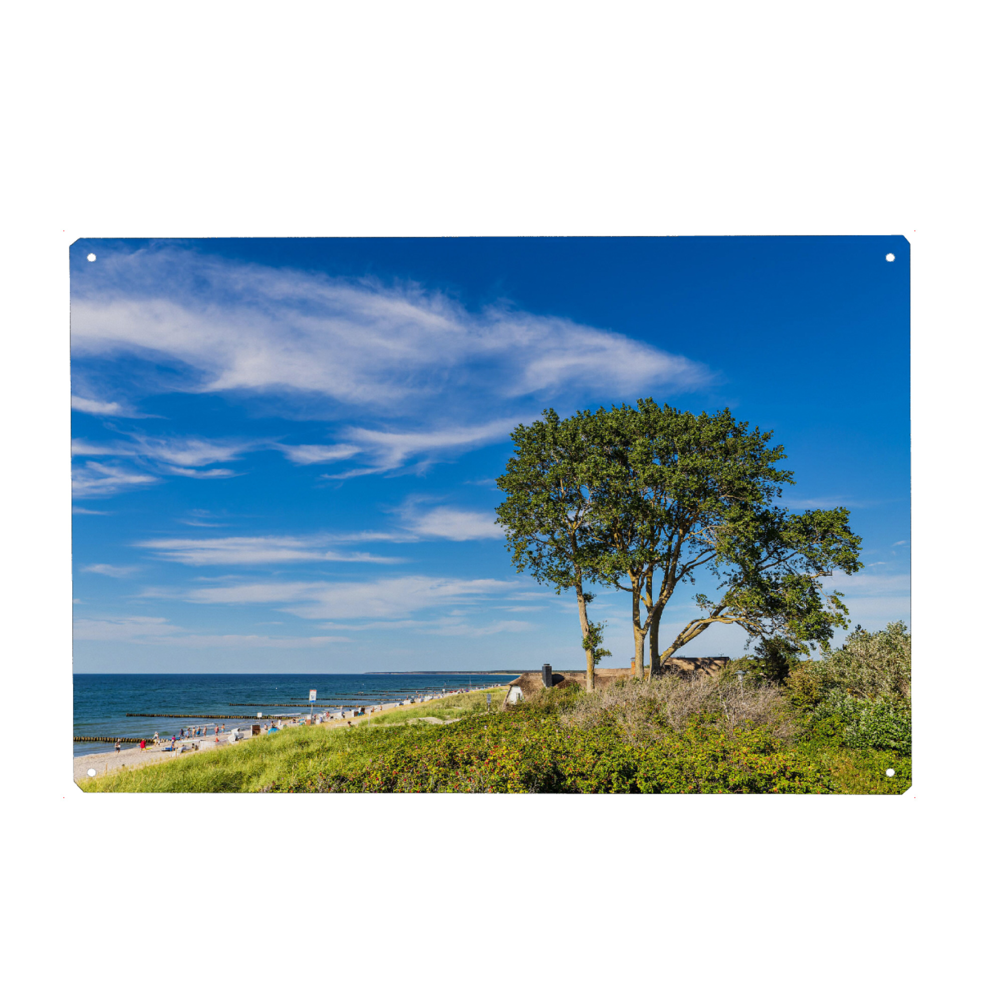 Metall Poster "Düne, Baum und Strand" artboxONE - Natur,Reise,Reise / Strand und Meer