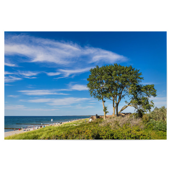Poster 30x20 cm "Düne, Baum und Strand" artboxONE - Natur,Reise,Reise / Strand und Meer