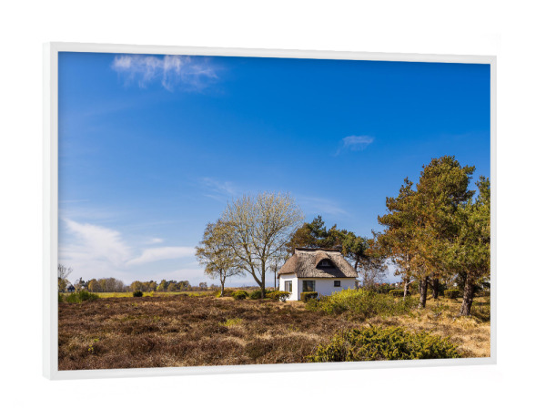 Poster mit weißem Rahmen "Haus, Heide, Bäume" artboxONE - Natur,Reise,Architektur