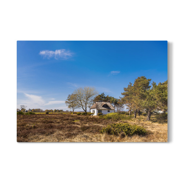 Galerie-Print "Haus, Heide, Bäume" 30x20 cm artboxONE