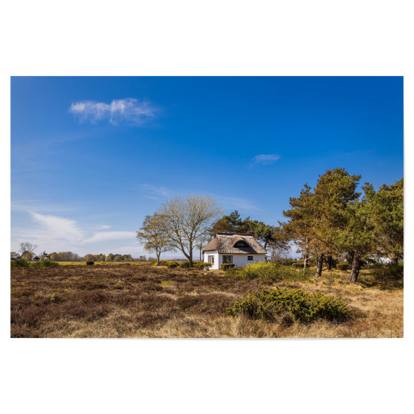 Poster "Haus, Heide, Bäume" artboxONE - Natur,Reise,Architektur