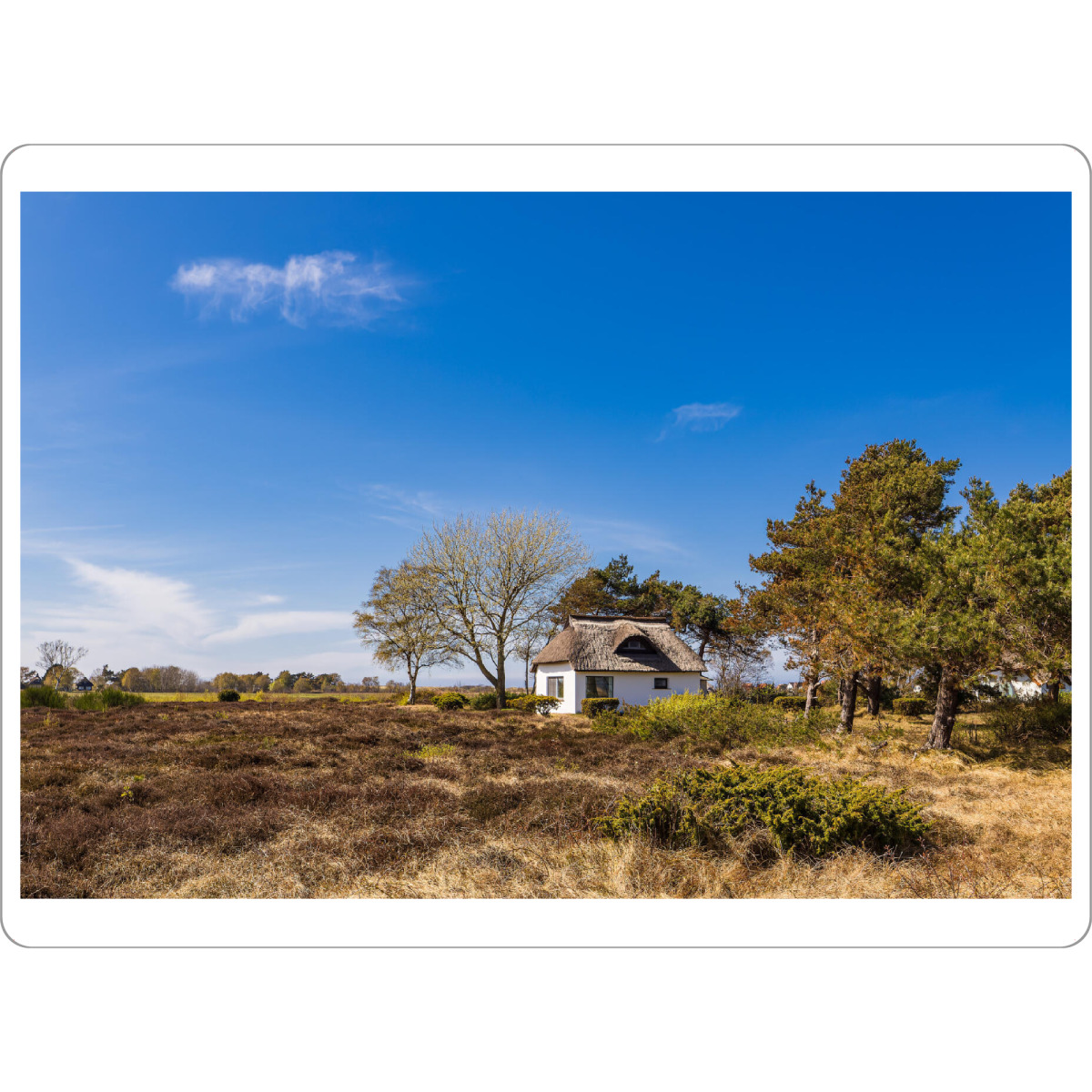Tischset "Haus, Heide, Bäume" artboxONE - Natur,Reise,Architektur