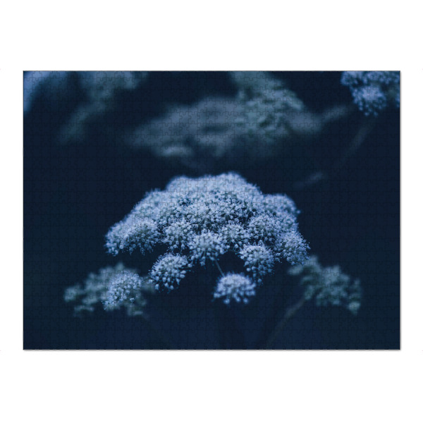 Puzzle Ravensburger "Engelwurz im Wald" artboxONE - Natur,Floral