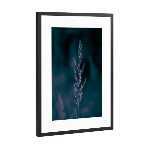 Poster mit Rahmen Schwarz (Metallic) "Grashalm im Wald" artboxONE - Natur,Floral