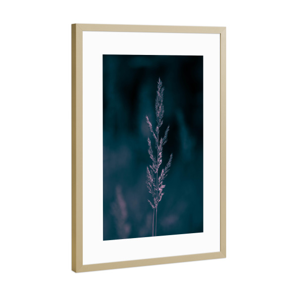 Poster mit Rahmen Gold "Grashalm im Wald" artboxONE - Natur,Floral