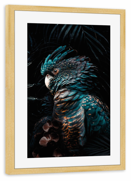 Poster mit Rahmen kiefer "Dschungel Kakadu" artboxONE - Floral,Tiere - Kakadu,Papagei,Vogel,Bunter vogel,Dschungel,Tier