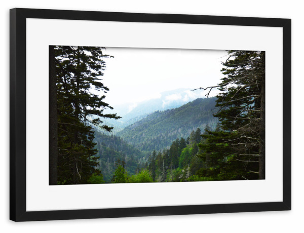 Poster mit Rahmen schwarz "Die Smokies" artboxONE - Natur,Reise,Reise / Länder