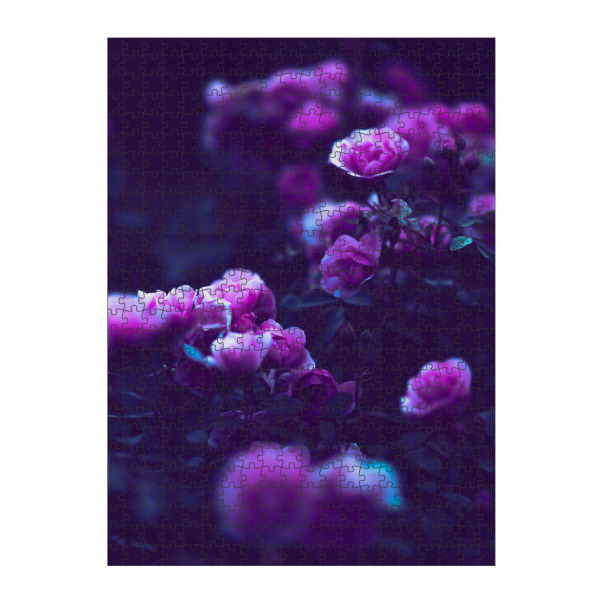 artboxONE Puzzle "Pinke Rosen Nahaufnahme" artboxONE - Natur,Floral