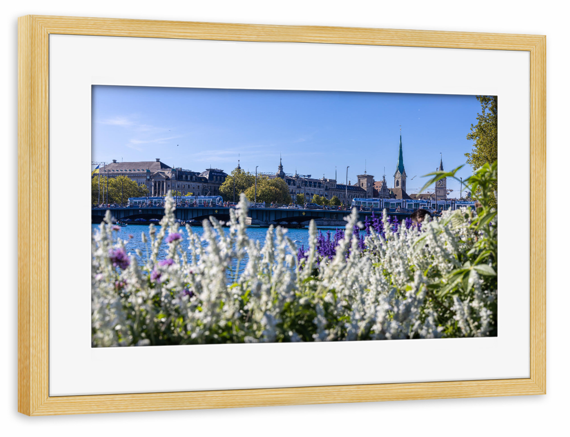 Poster mit Rahmen kiefer "Zürcher Seebecken" artboxONE - Natur,Reise,Floral,Reise / Länder,Städte / Zürich