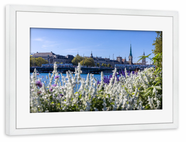 Poster mit Rahmen weiß "Zürcher Seebecken" artboxONE - Natur,Reise,Floral,Reise / Länder,Städte / Zürich