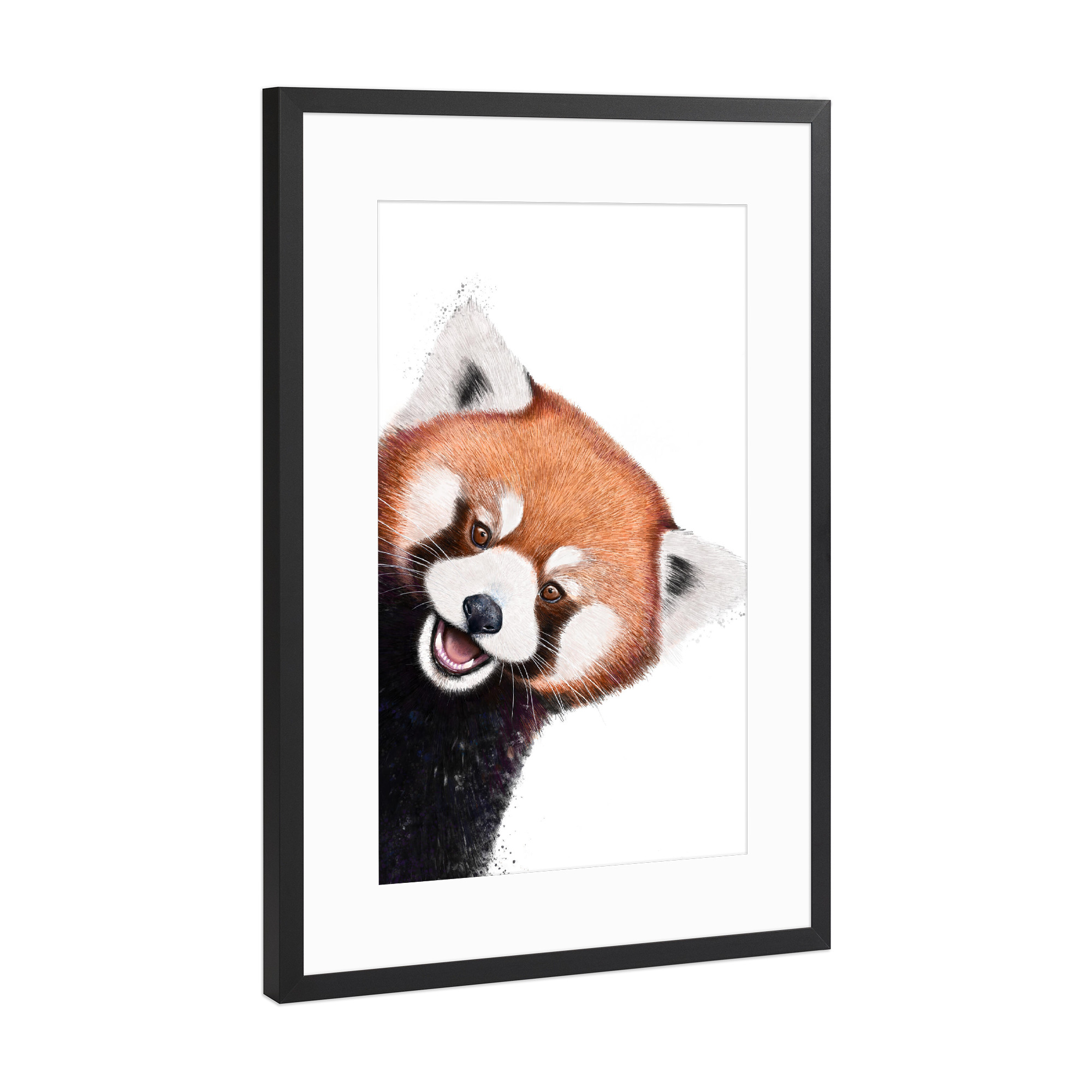 Poster mit Rahmen Schwarz (Metallic) "Süßer roter Panda" artboxONE - Natur,Tiere,Für Mama,Lustig - Panda,Roter panda,Bär,Schön,Muttertag,Süß
