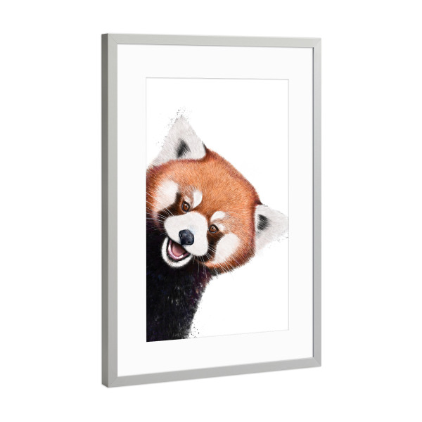 Poster mit Rahmen Silber "Süßer roter Panda" artboxONE - Natur,Tiere,Für Mama,Lustig - Panda,Roter panda,Bär,Schön,Muttertag,Süß