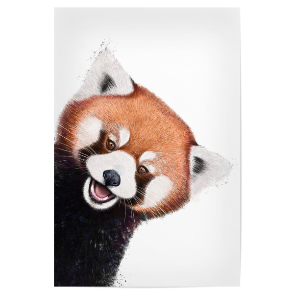Poster "Süßer roter Panda" artboxONE - Natur,Tiere,Für Mama,Lustig - Panda,Roter panda,Bär,Schön,Muttertag,Süß