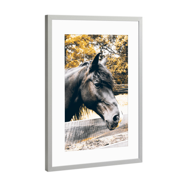 Poster mit Rahmen Silber "Der wilde Hengst" artboxONE - Tiere