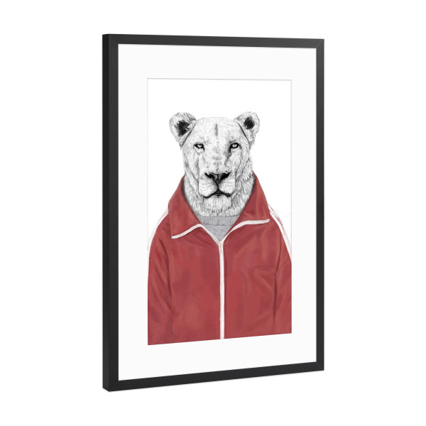 Poster mit Rahmen Schwarz (Metallic) "Sportlicher Löwe" artboxONE - Tiere,Lustig - Löwen,Katzen,Tiere,Sport,Sportlich,Humor,Lustig,Niedlich